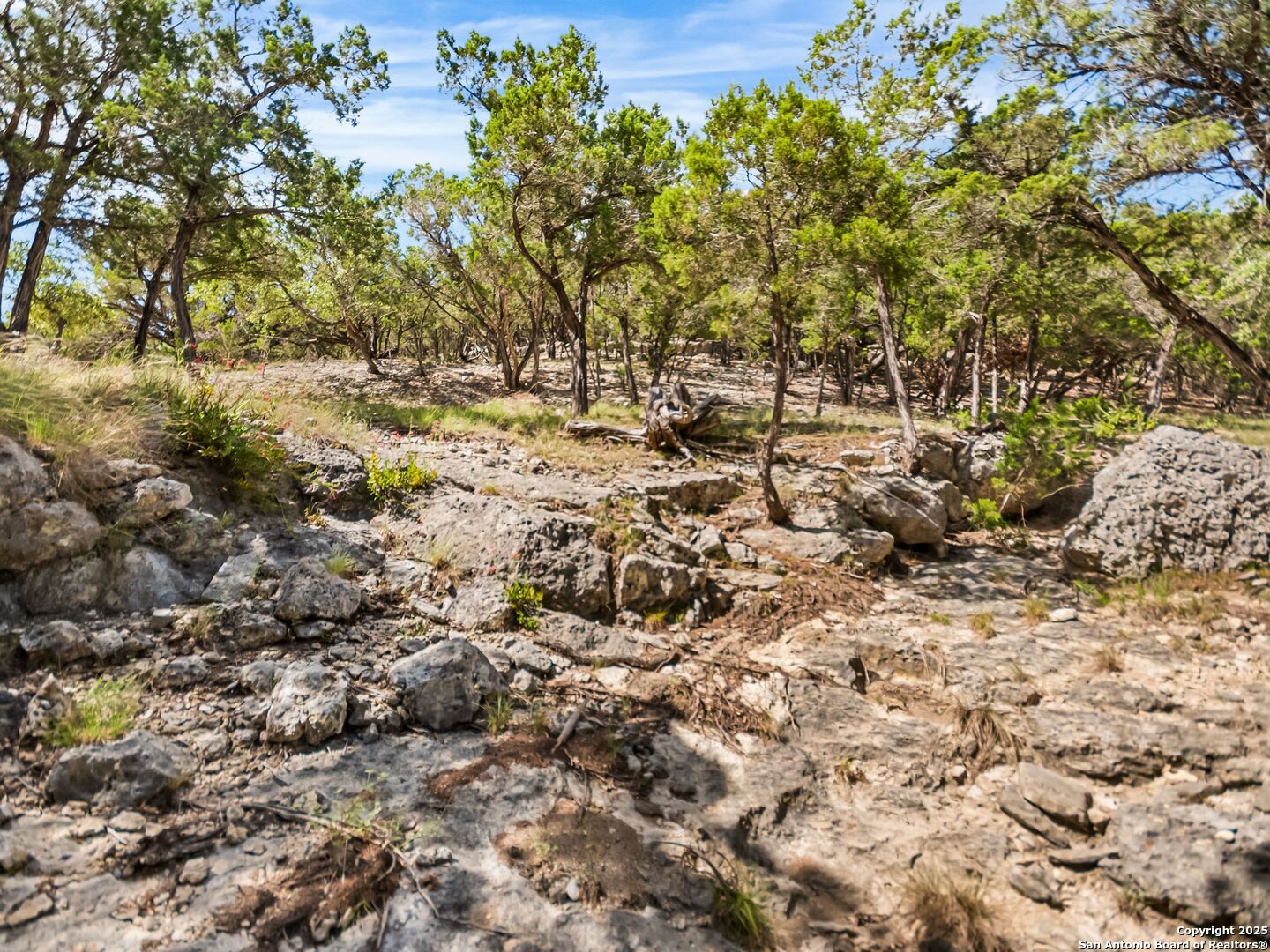 4366 Whartons Dock Road Bandera, TX 78003 - Photo 71 of 80