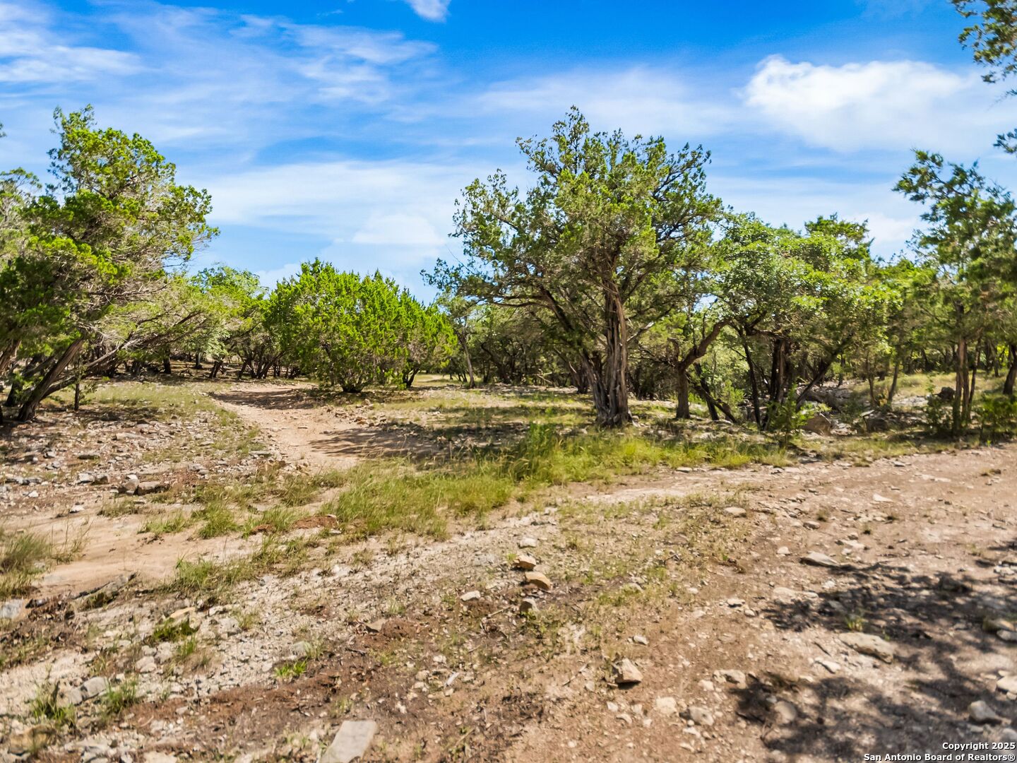 4366 Whartons Dock Road Bandera, TX 78003 - Photo 73 of 80 a backyard of a house with lots of green space