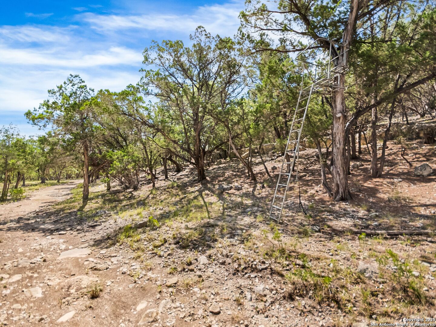 4366 Whartons Dock Road Bandera, TX 78003 - Photo 75 of 80 a view of a yard with a tree