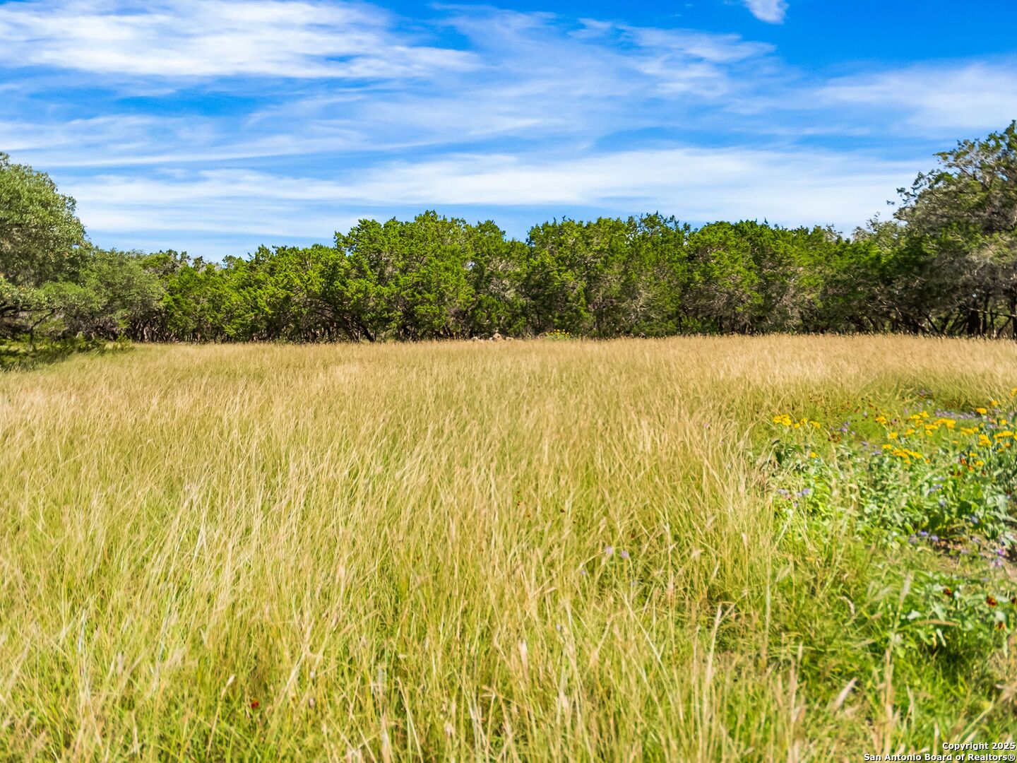 4366 Whartons Dock Road Bandera, TX 78003 - Photo 76 of 80 a view of an ocean from a lake