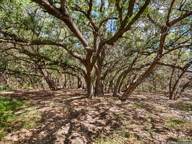 $1,350,000 | 4366 Whartons Dock Road, Bandera, TX 78003