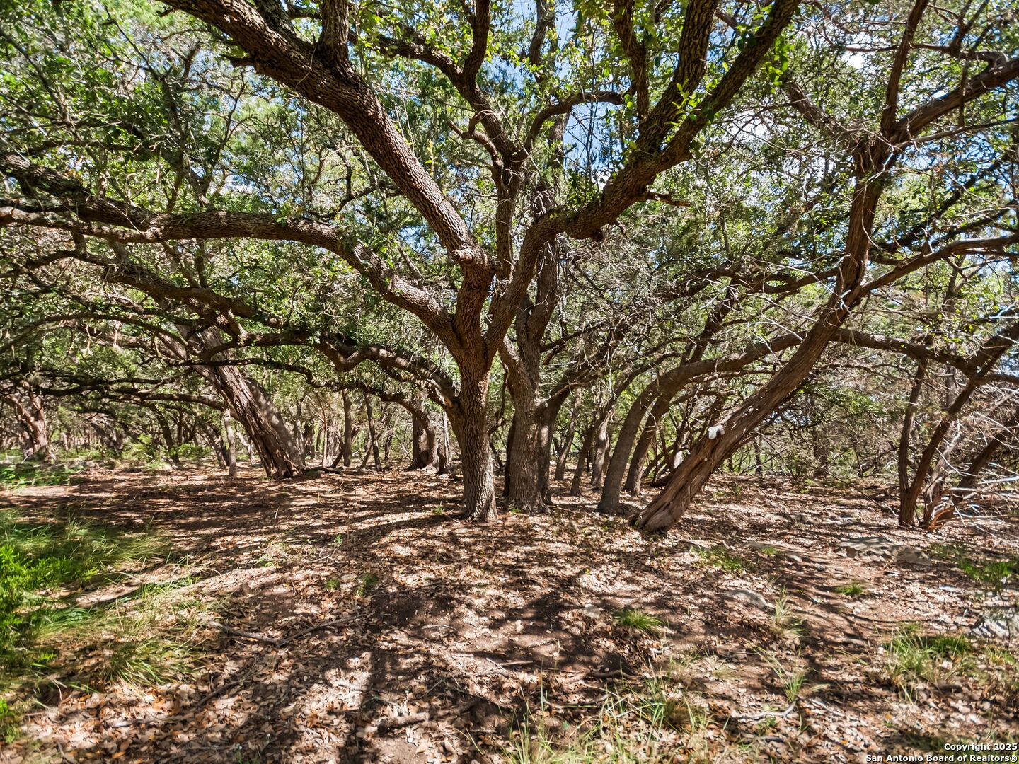 4366 Whartons Dock Road Bandera, TX 78003 - Photo 79 of 80