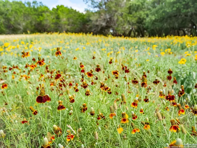 $1,350,000 | 4366 Whartons Dock Road, Bandera, TX 78003