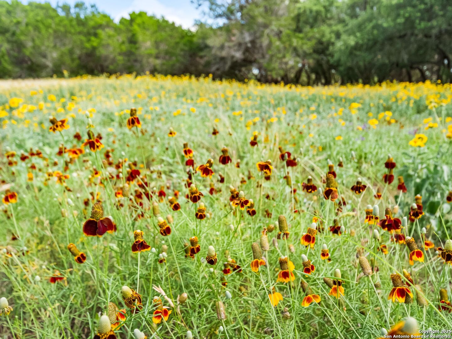 4366 Whartons Dock Road Bandera, TX 78003 - Photo 80 of 80 a view of a lake view