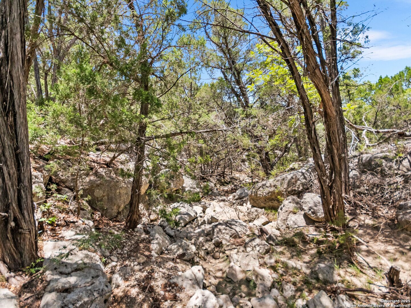 4366 Whartons Dock Road Bandera, TX 78003 - Photo 8 of 80