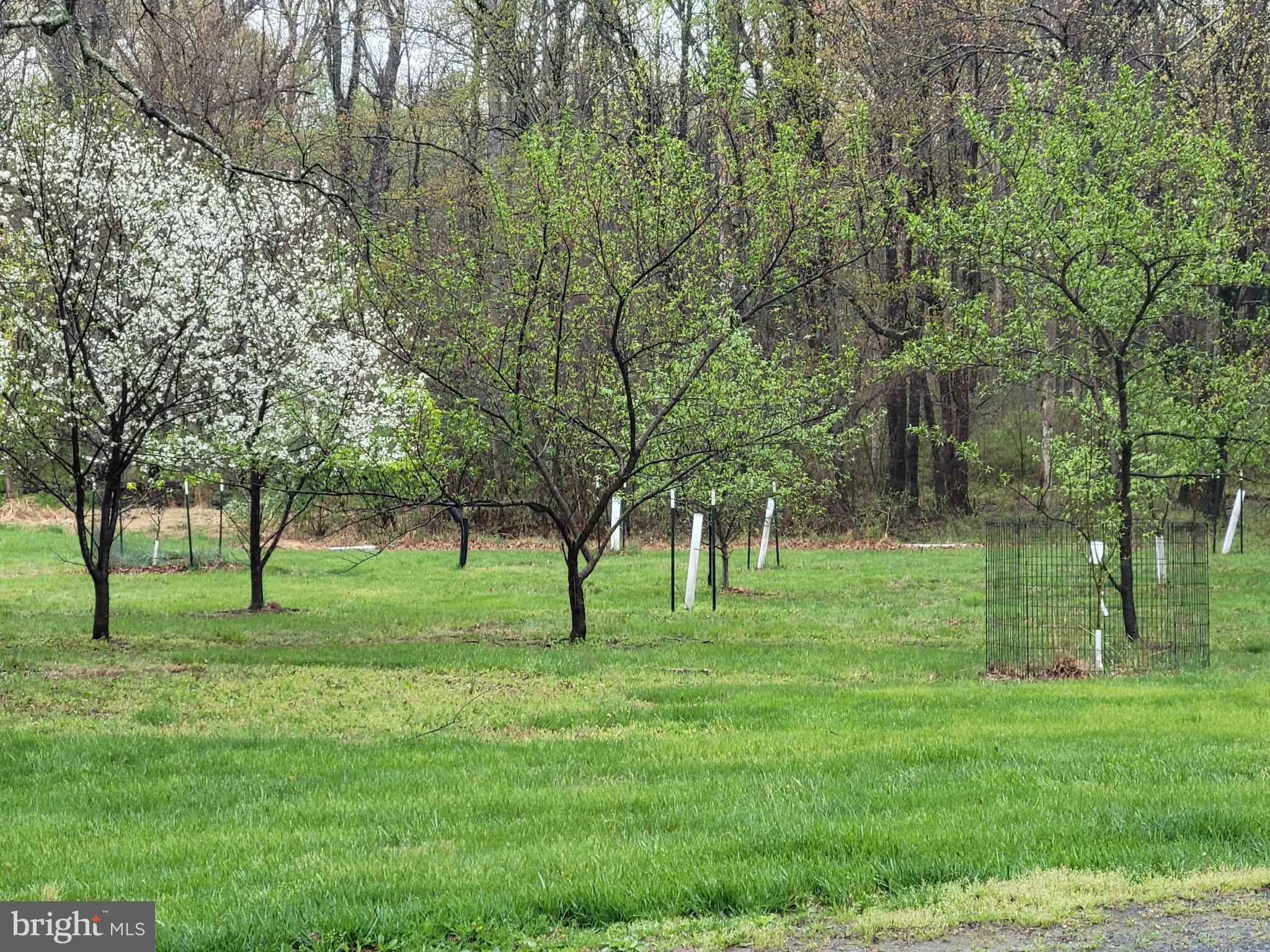 16116 Thoroughfare Road Broad Run, VA 20137 - Photo 34 of 36