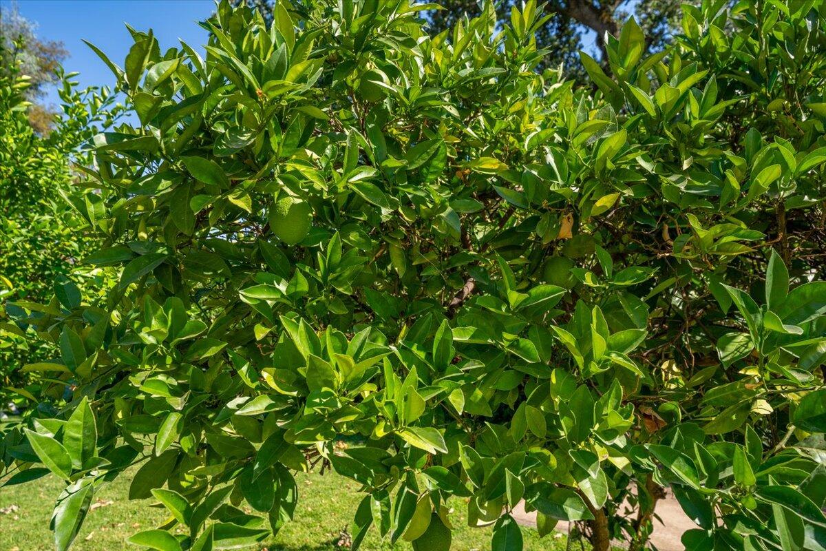 6681 Riverside Drive Redding, CA 96001 - Photo 93 of 124 092-6681 Riverside Dr - EG-5