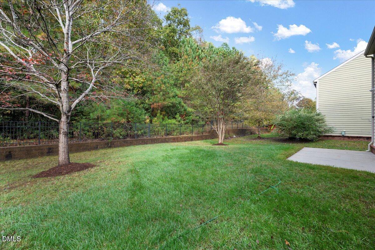 411 Amiable Loop Cary, NC 27519 - Photo 29 of 40 a view of a yard with a tree