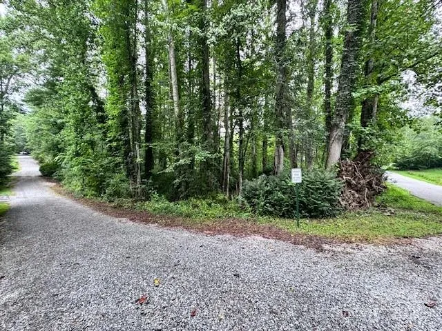 a view of a yard with a trees