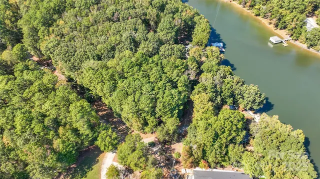 a picture of a plant