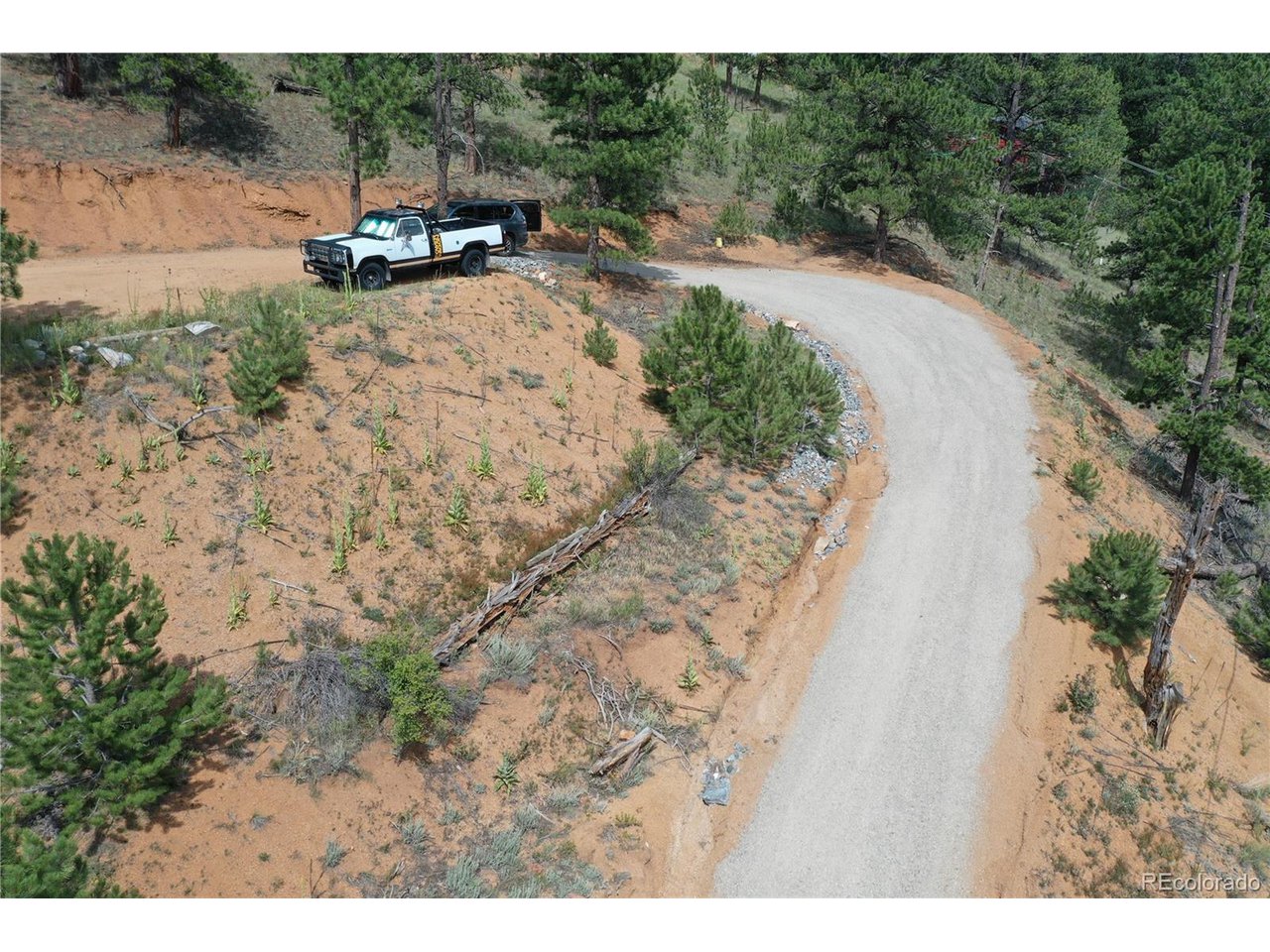 261 Wilkins Road Bailey, CO 80421 - Photo 26 of 39 a view of outdoor space with city view