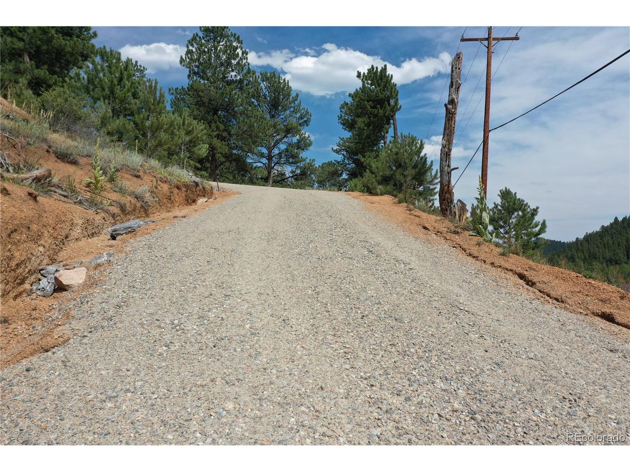 261 Wilkins Road Bailey, CO 80421 - Photo 32 of 39 a view of a dry yard with a road