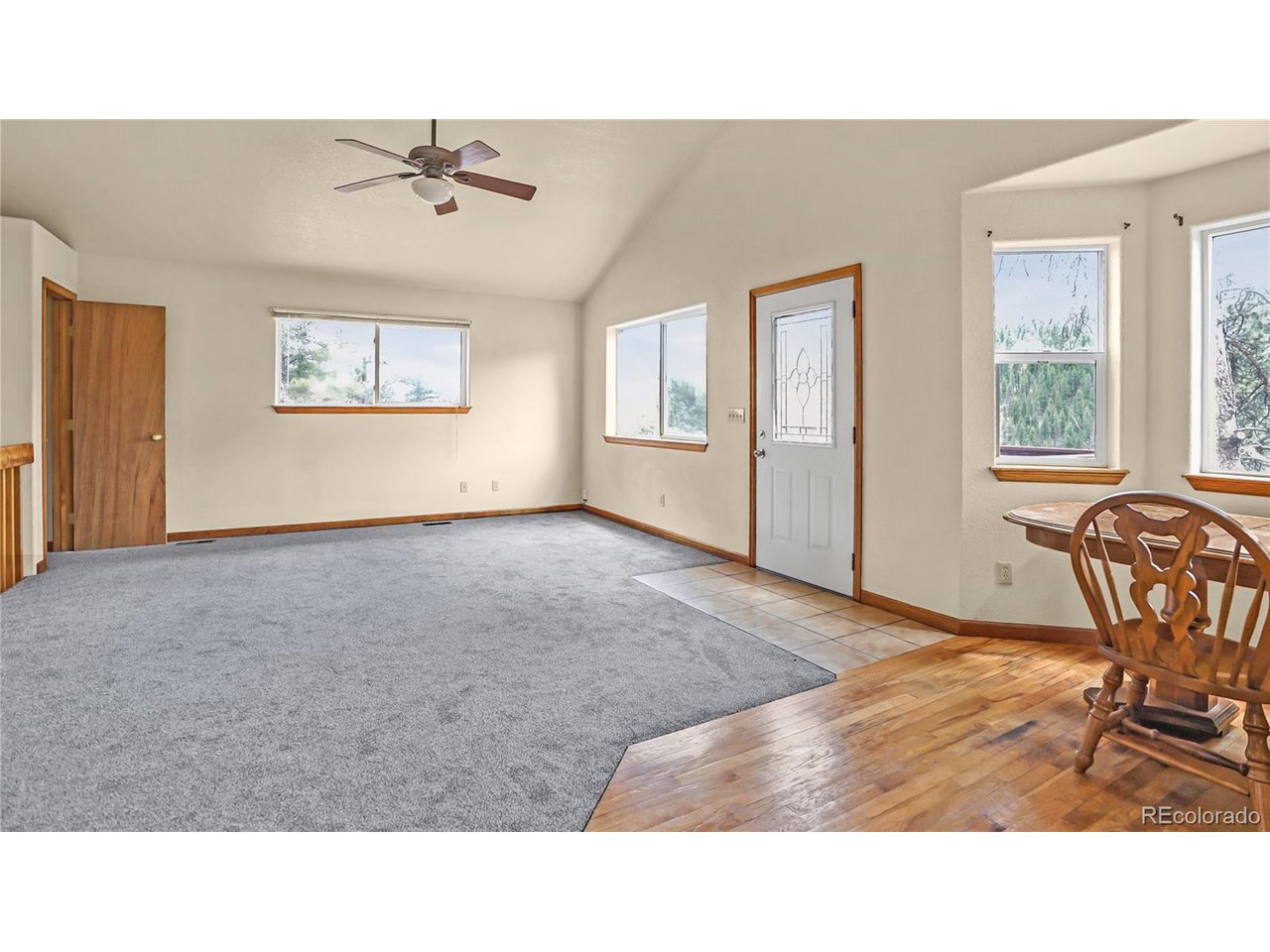 261 Wilkins Road Bailey, CO 80421 - Photo 8 of 39 a living room with furniture and windows