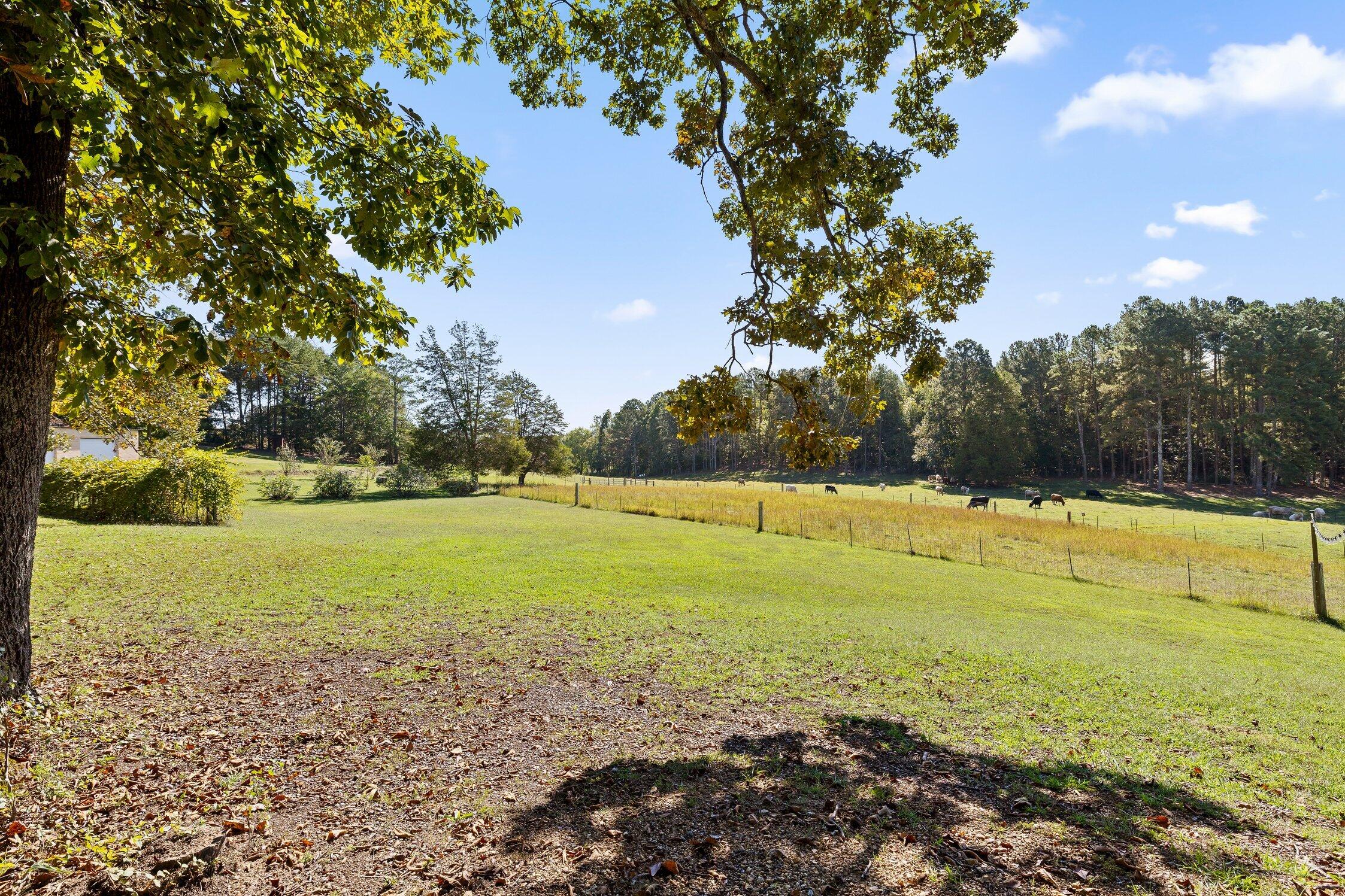 410 Tarvin Road Rock Spring, GA 30739 - Photo 57 of 72 Tarvin-68