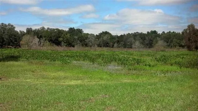 $310,000 | 7070 Highway 19, Perry, FL 32348