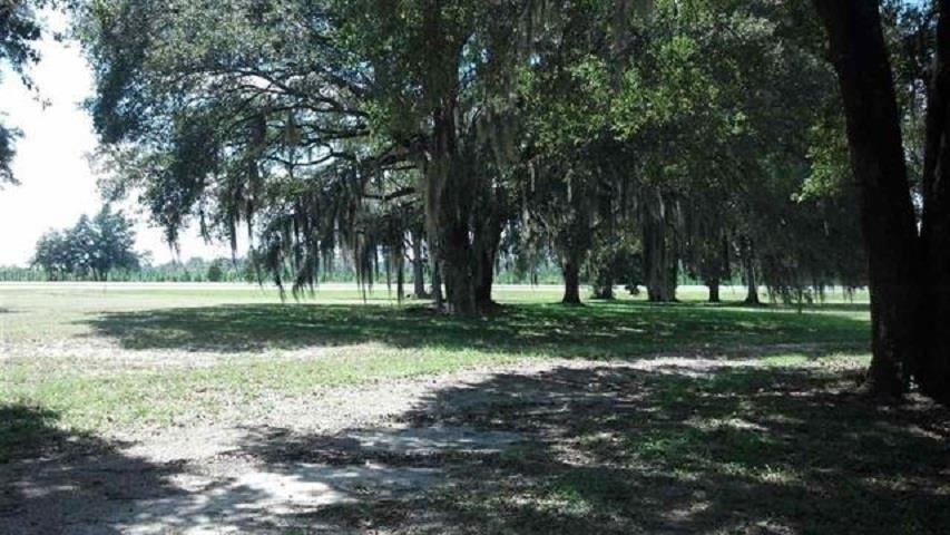 7070 Highway 19 Perry, FL 32348 - Photo 10 of 11