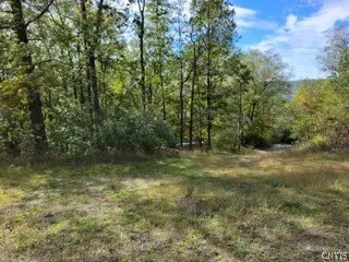 $59,000 | 43 Hillcrest Drive, Erwin, NY 14870