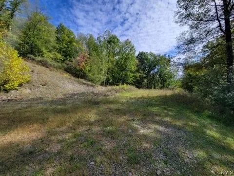 $59,000 | 43 Hillcrest Drive, Erwin, NY 14870