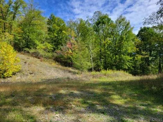 $59,000 | 43 Hillcrest Drive, Erwin, NY 14870