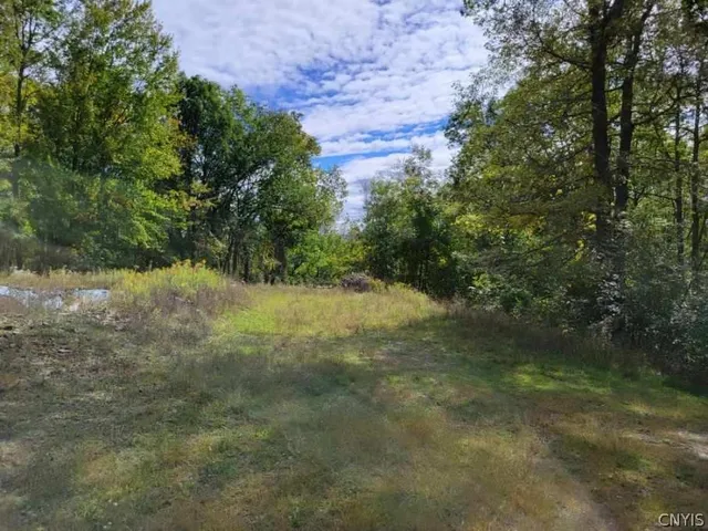 $59,000 | 43 Hillcrest Drive, Erwin, NY 14870