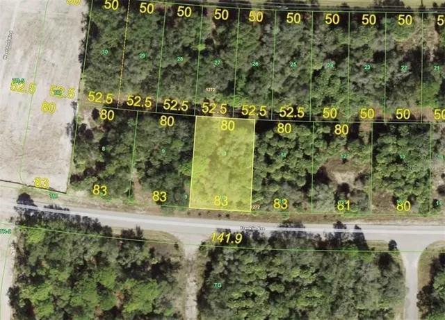 a view of a garden with a bench