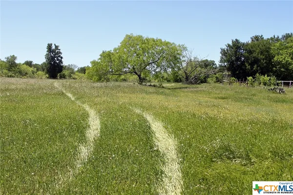 a view of a lake from a yard