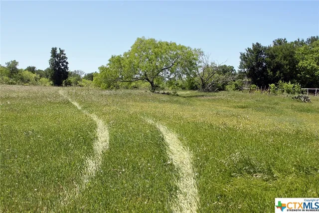 a view of a lake from a yard