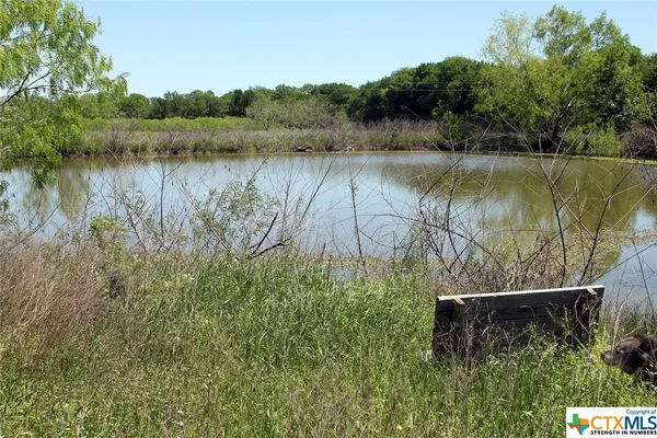a view of a lush green forest with trees and some houses