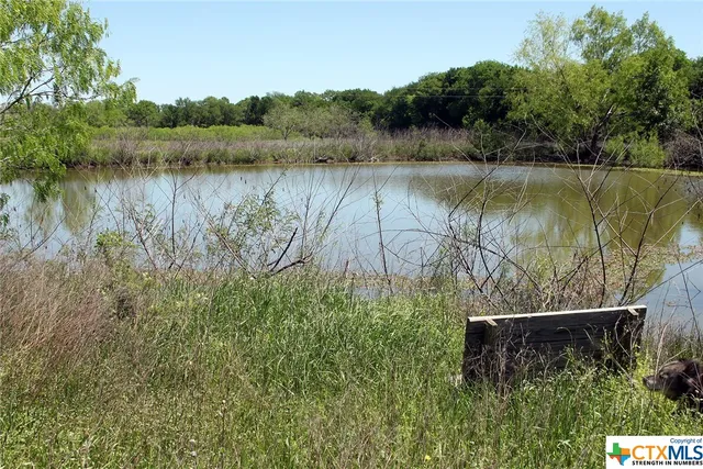 a view of a lush green forest with trees and some houses
