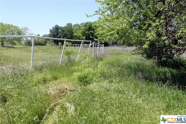 a view of a pathway with a garden