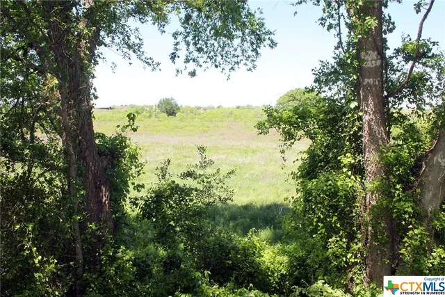 a view of a street with a tree