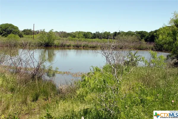 a view of yard with large trees