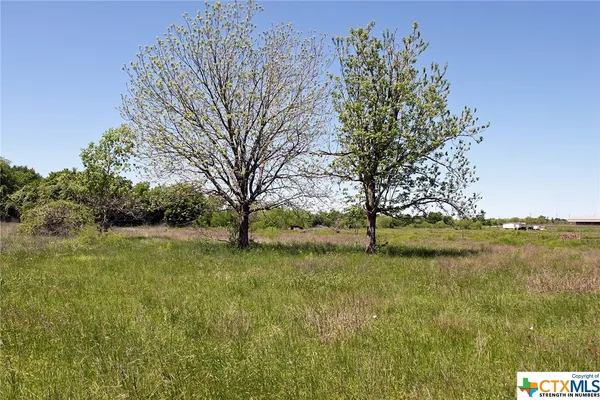 a big yard with lots of green space