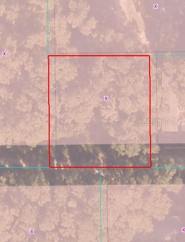 0 Northeast 160th Lane Citra, FL 32113 - Photo 2 of 2 a view of a road from a window