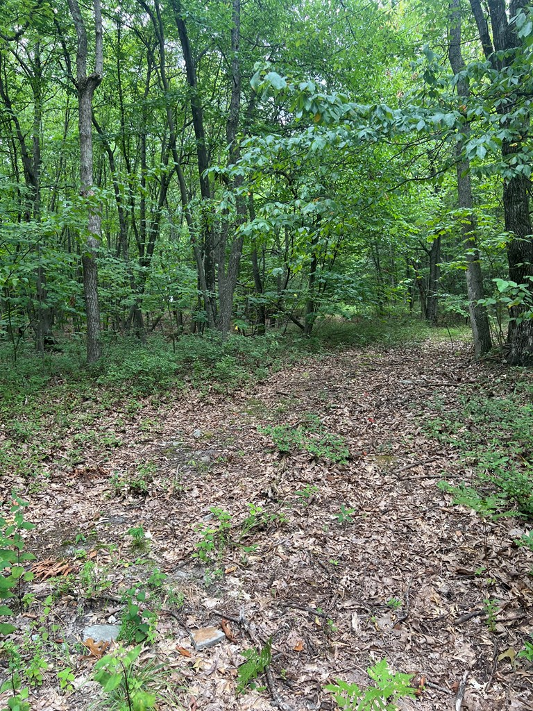 0 Sand Rock Road Huntingdon, PA 16652 - Photo 11 of 19 Gallery Image 11