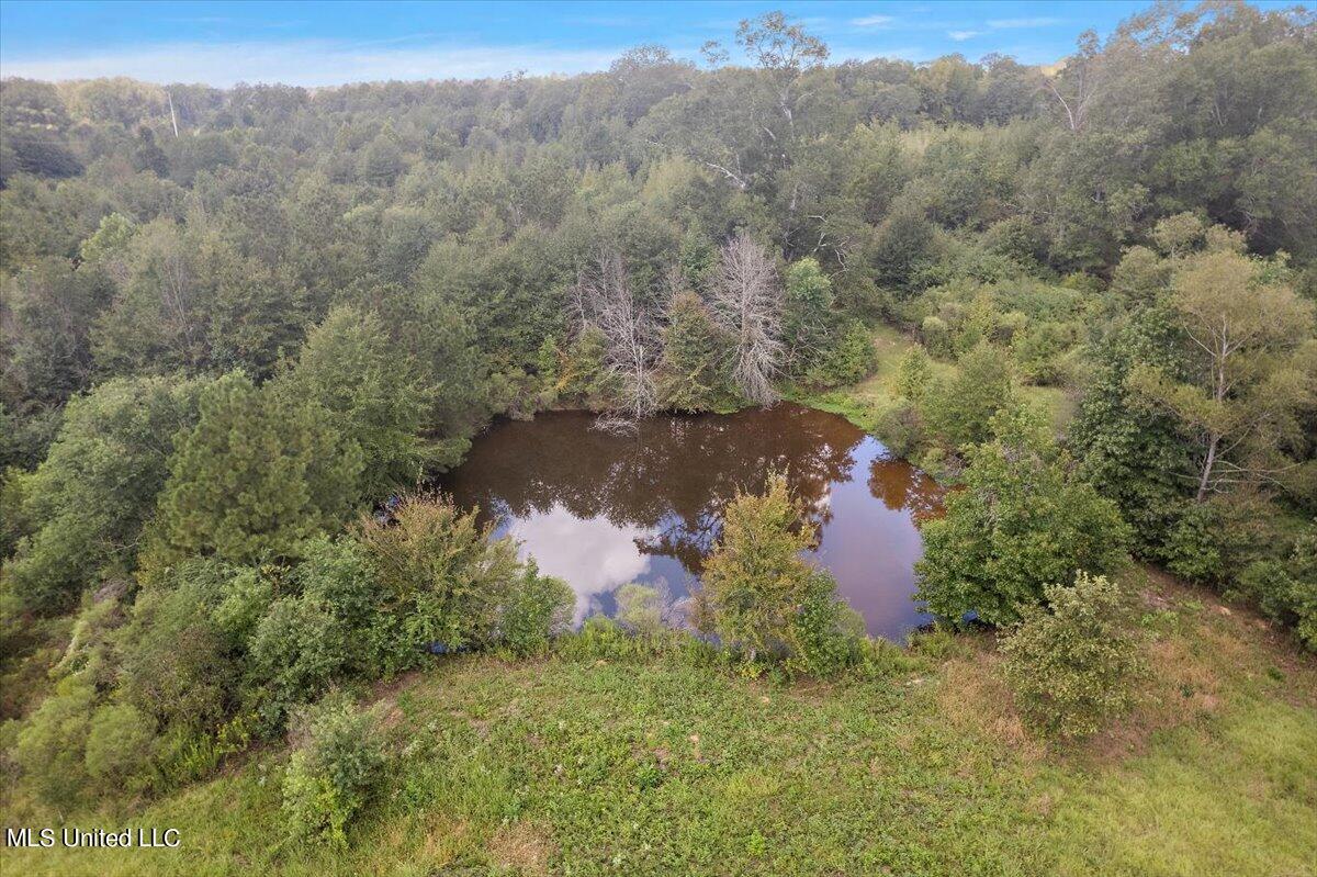 Terry Road Terry, MS 39170 - Photo 12 of 12 12-DJI_0841
