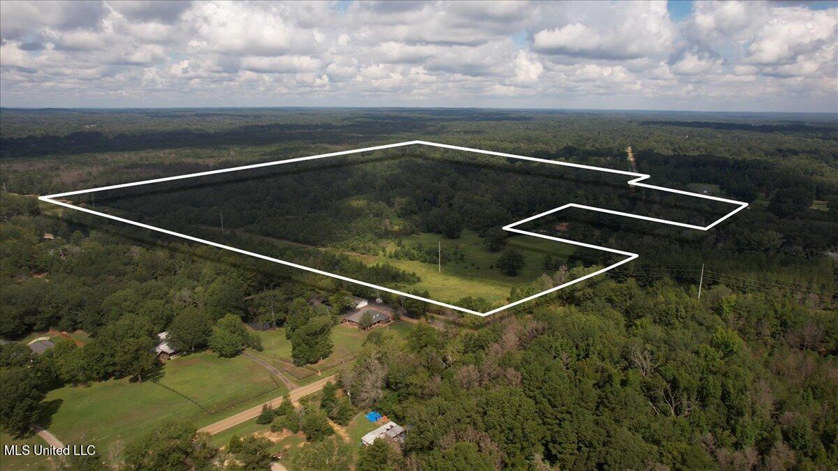 Terry Road Terry, MS 39170 - Photo 2 of 12 02-DJI_0806 Lotline beginning.mp4.00_00_