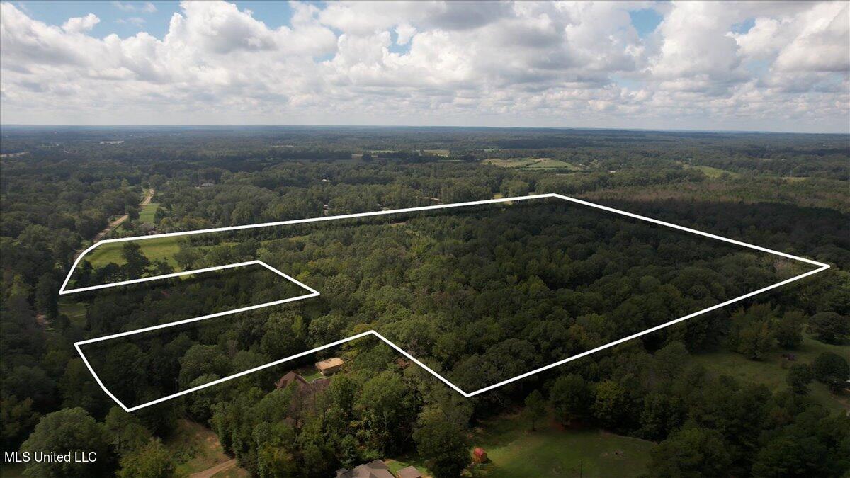 Terry Road Terry, MS 39170 - Photo 3 of 12 03-DJI_0806 lotline ending.mp4.00_00_39_