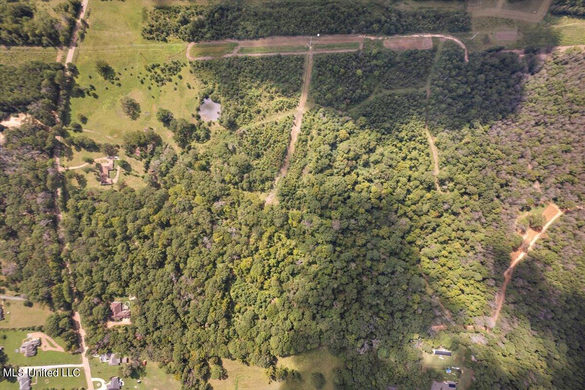 Terry Road Terry, MS 39170 - Photo 4 of 12 04-DJI_0824