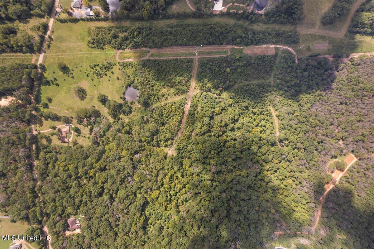 Terry Road Terry, MS 39170 - Photo 5 of 12 05-DJI_0821