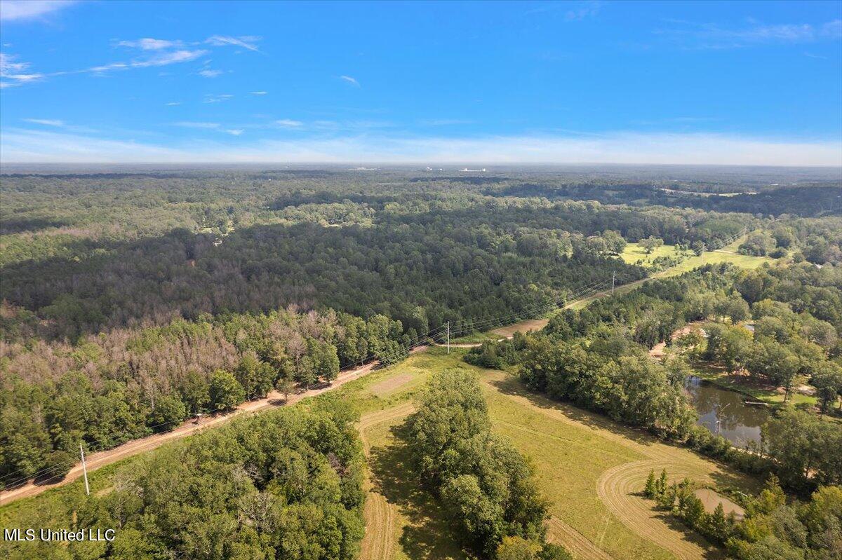 Terry Road Terry, MS 39170 - Photo 6 of 12 06-DJI_0812