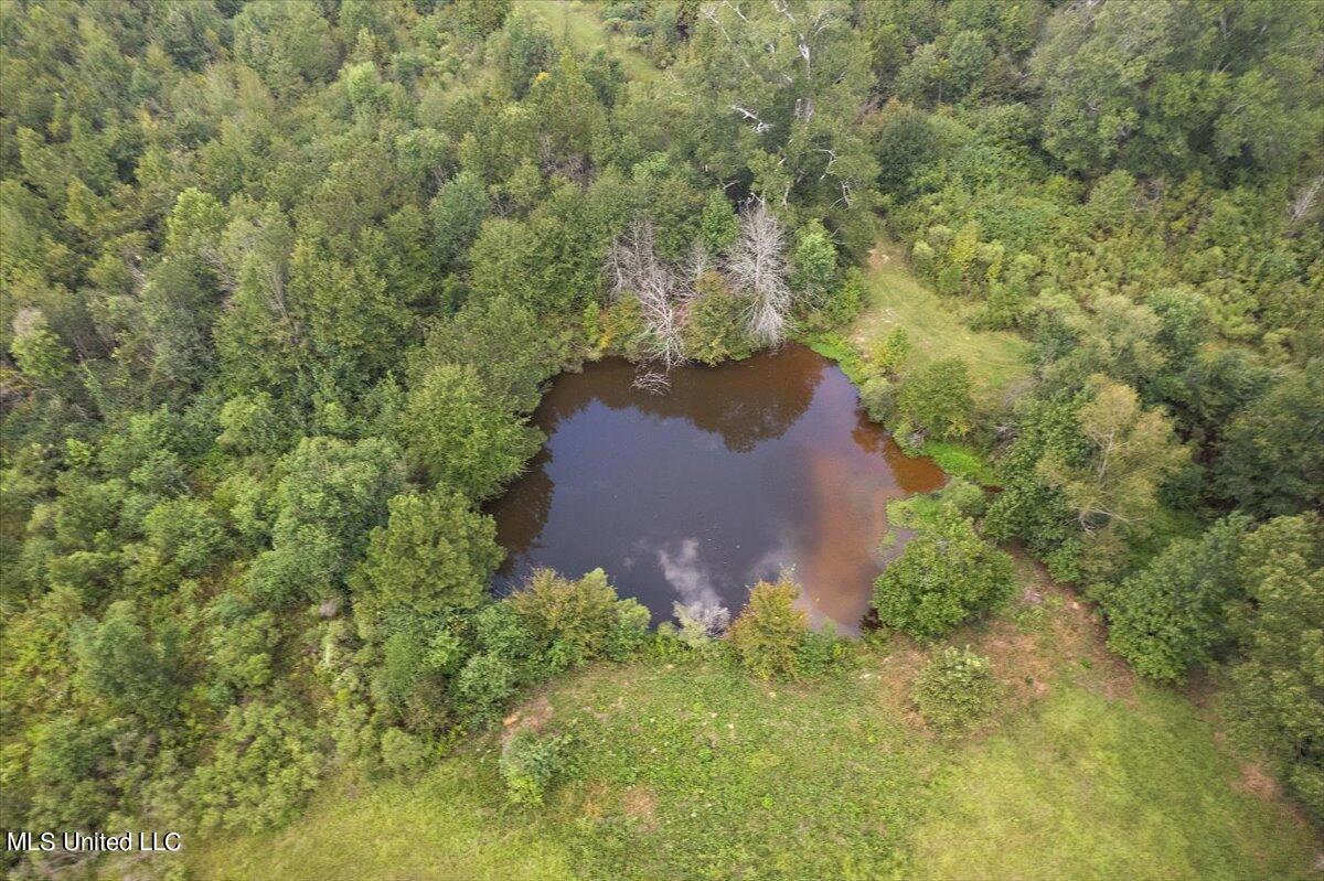 Terry Road Terry, MS 39170 - Photo 9 of 12 09-DJI_0838