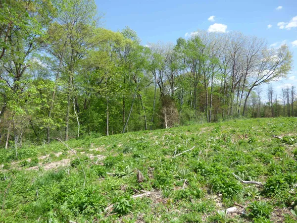 $1,899,000 | 6163 South Blanding Road, Hanover, IL 61041