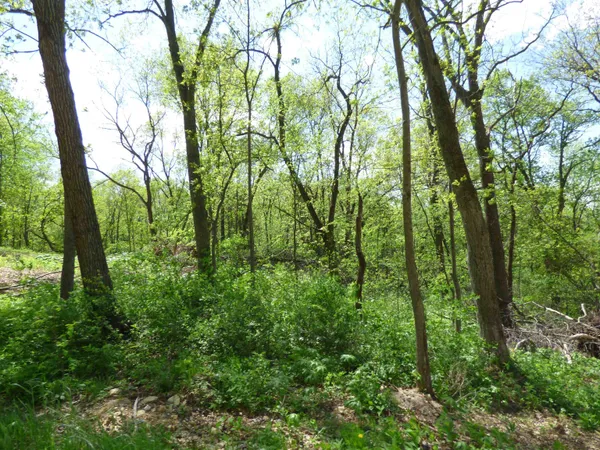 $1,899,000 | 6163 South Blanding Road, Hanover, IL 61041