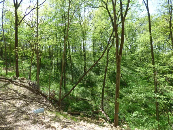 $1,899,000 | 6163 South Blanding Road, Hanover, IL 61041