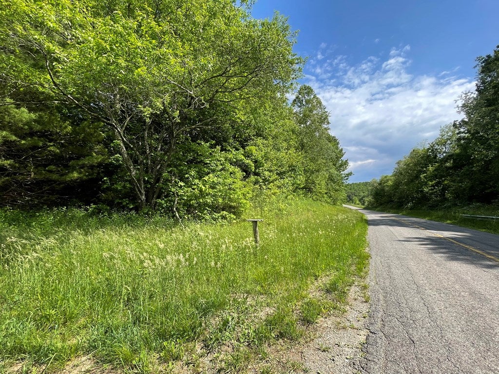 Tbd Tbd Autumn View Road, Unit 15 Fancy Gap, VA 24328 - Photo 3 of 11 Gallery Image 3