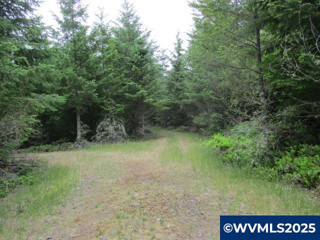 0 Gruber South Road Estacada, OR 97023 - Photo 10 of 30