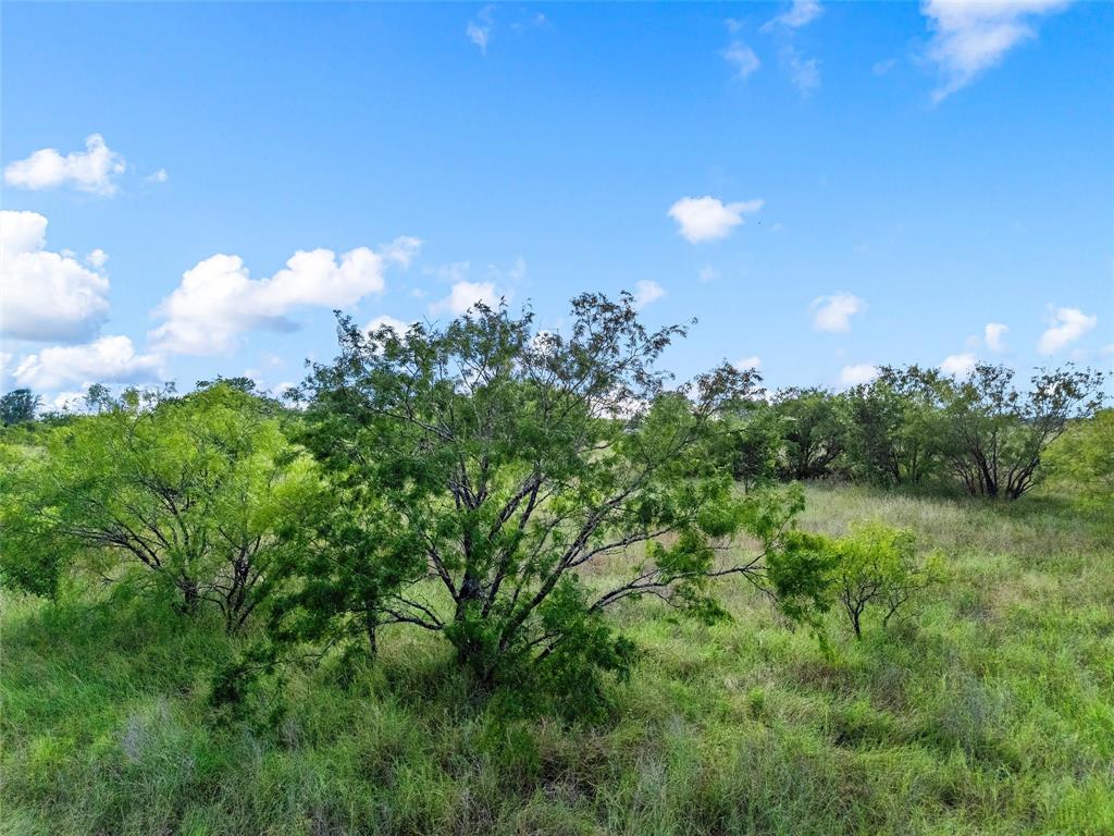 188 North Baese Road West, TX 76691 - Photo 39 of 40