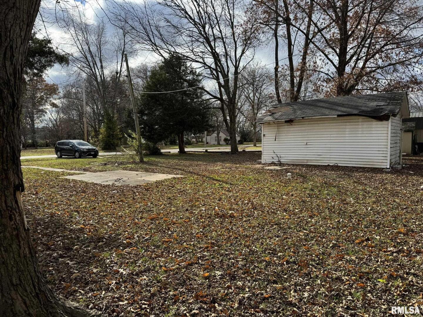 602 West 3rd Street Flora, IL 62839 - Photo 3 of 4 a view of a yard with a tree