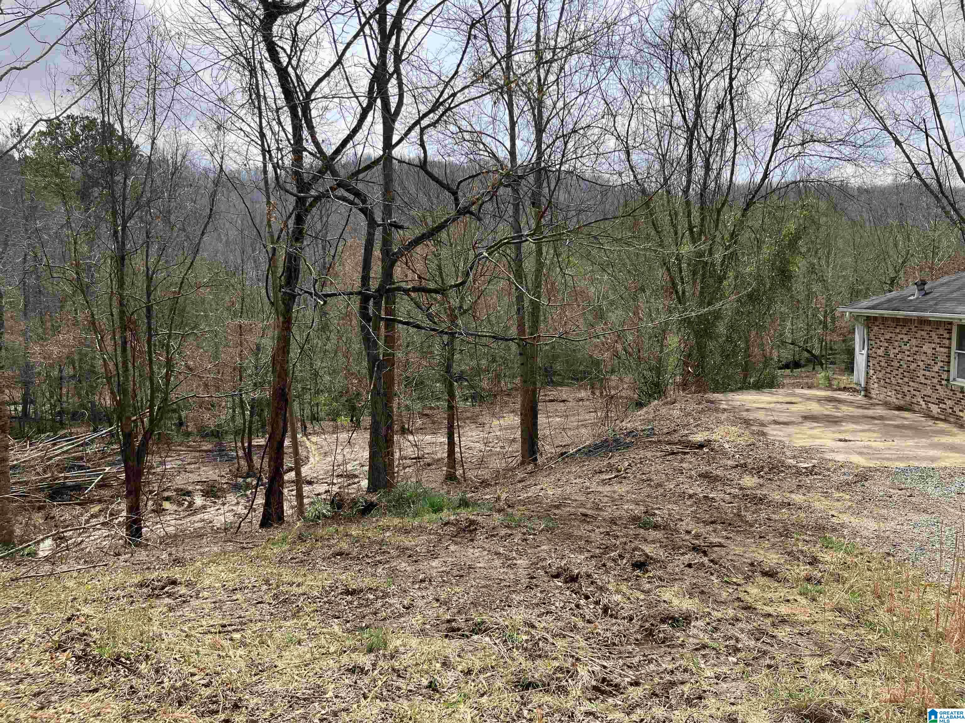 4624 Greensport Road Ashville, AL 35953 - Photo 27 of 37